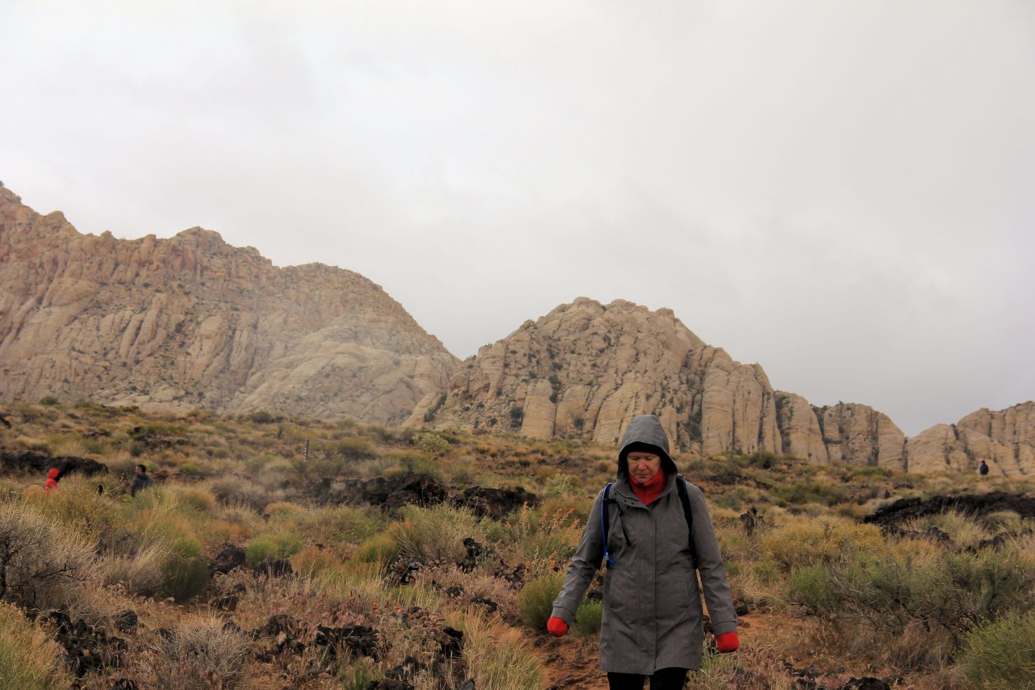 Snow Canyon State Park 